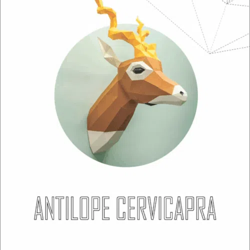 Papercraft head of Blackbuck antelope in origami
